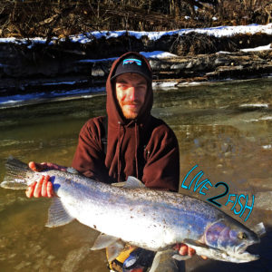 Live 2 Fish Ice out Steel in... Articles Daniel Notarianni River Fishing